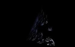 2014 12 15 Shadow Play 003-black.jpg